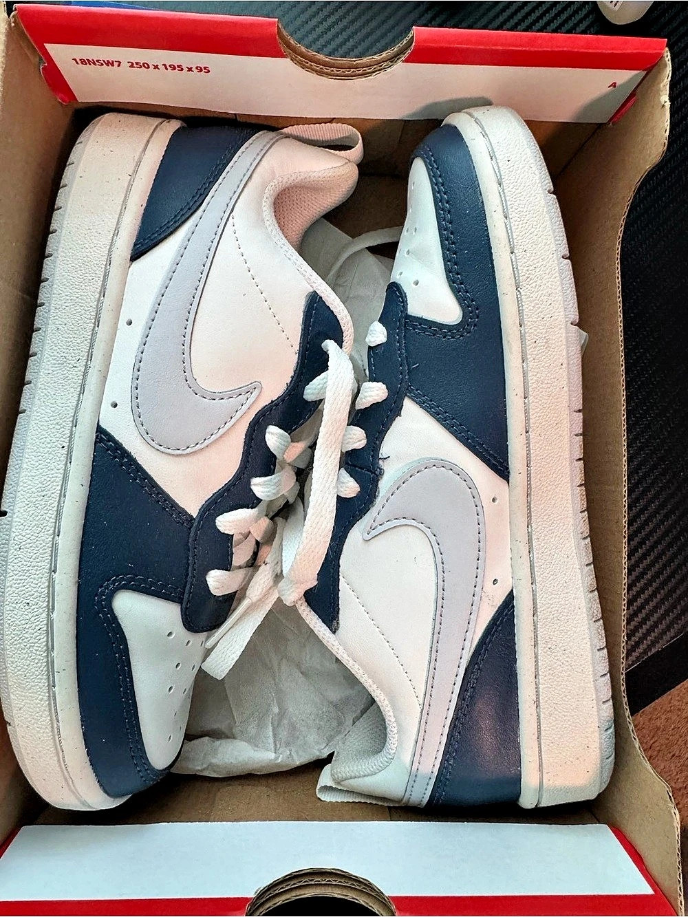 Nike Court Borough Low 2